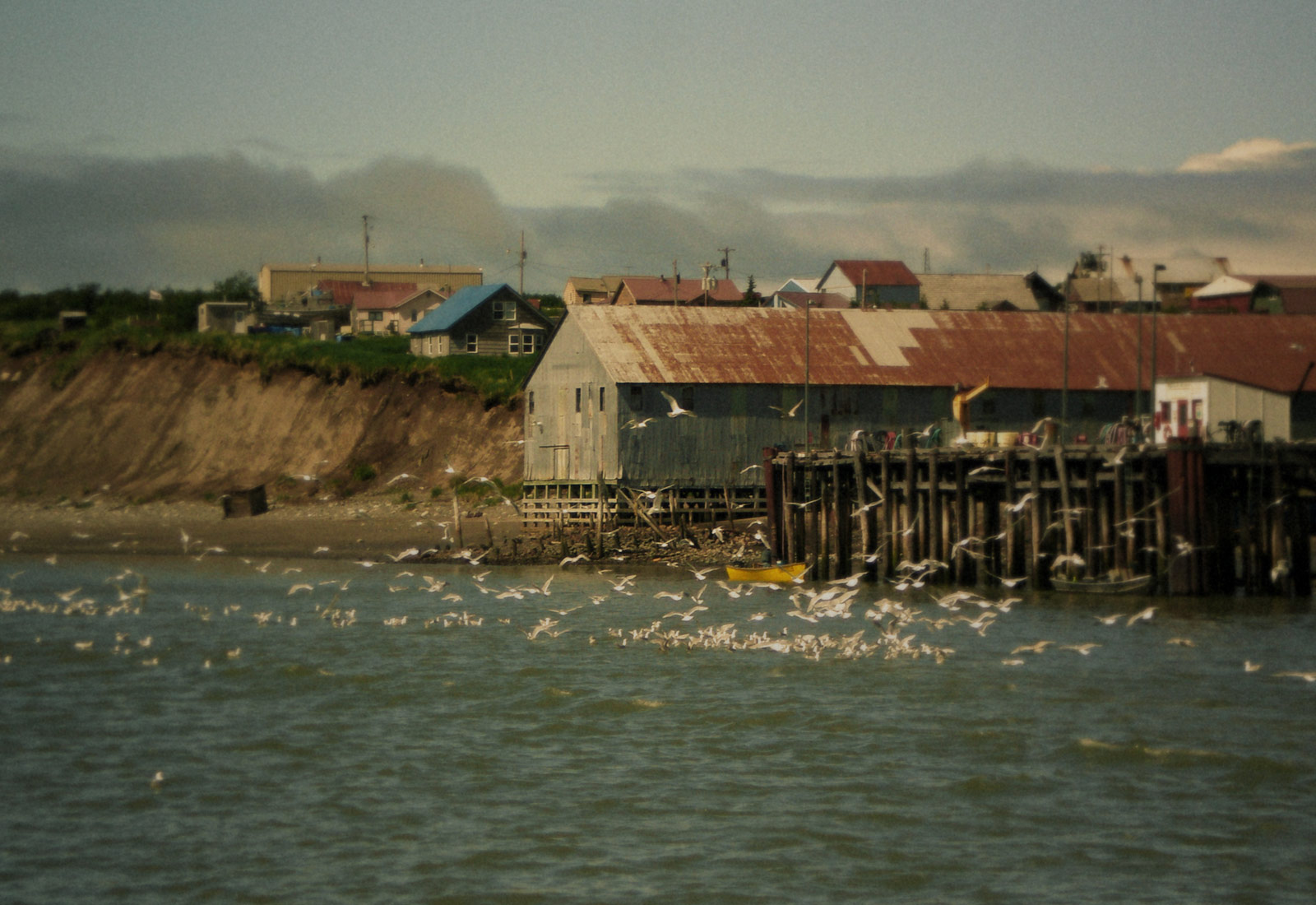 Bristol Bay Alaska Scenery 2